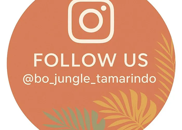 Bo Jungle - Steps To - Surf Pool 2